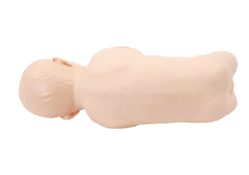 婴儿腰穿模型