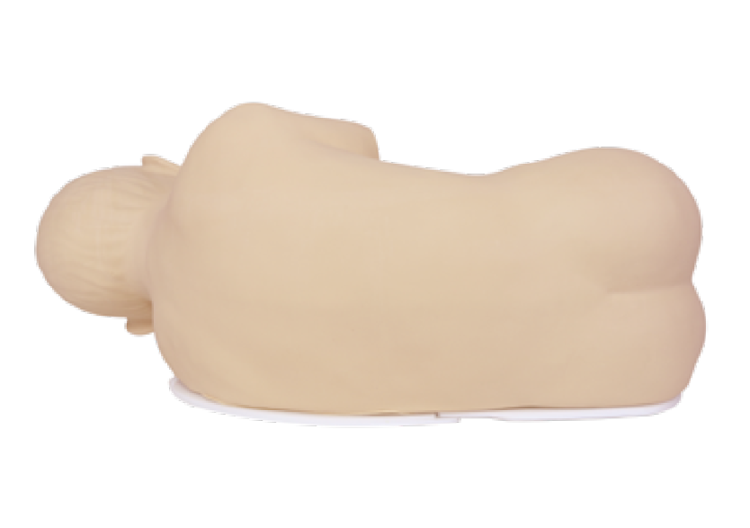 小儿腰穿训练模型