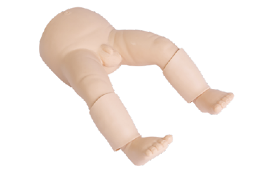 婴儿骨内灌注模型