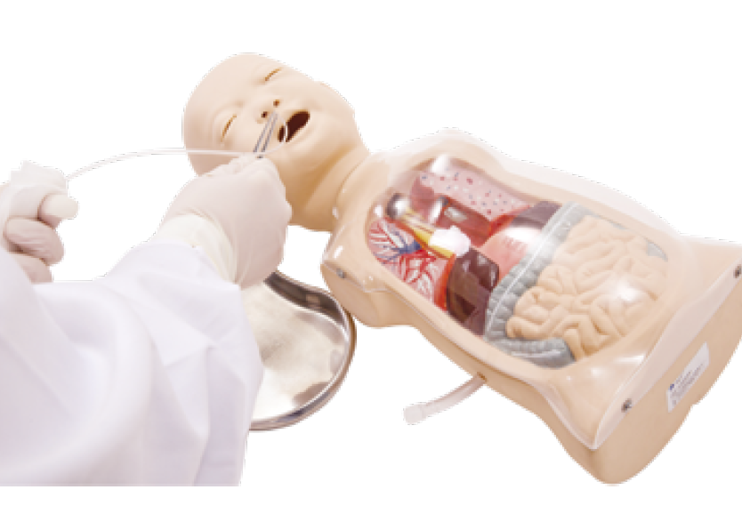 婴儿透明洗胃示教模型